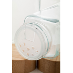 Sada kořenek Kashmir